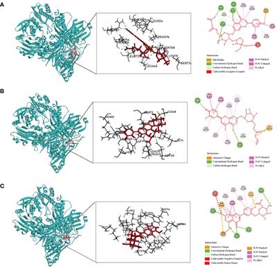 Fangyukangsuan granules ameliorate hyperuricemia and modulate gut microbiota in rats